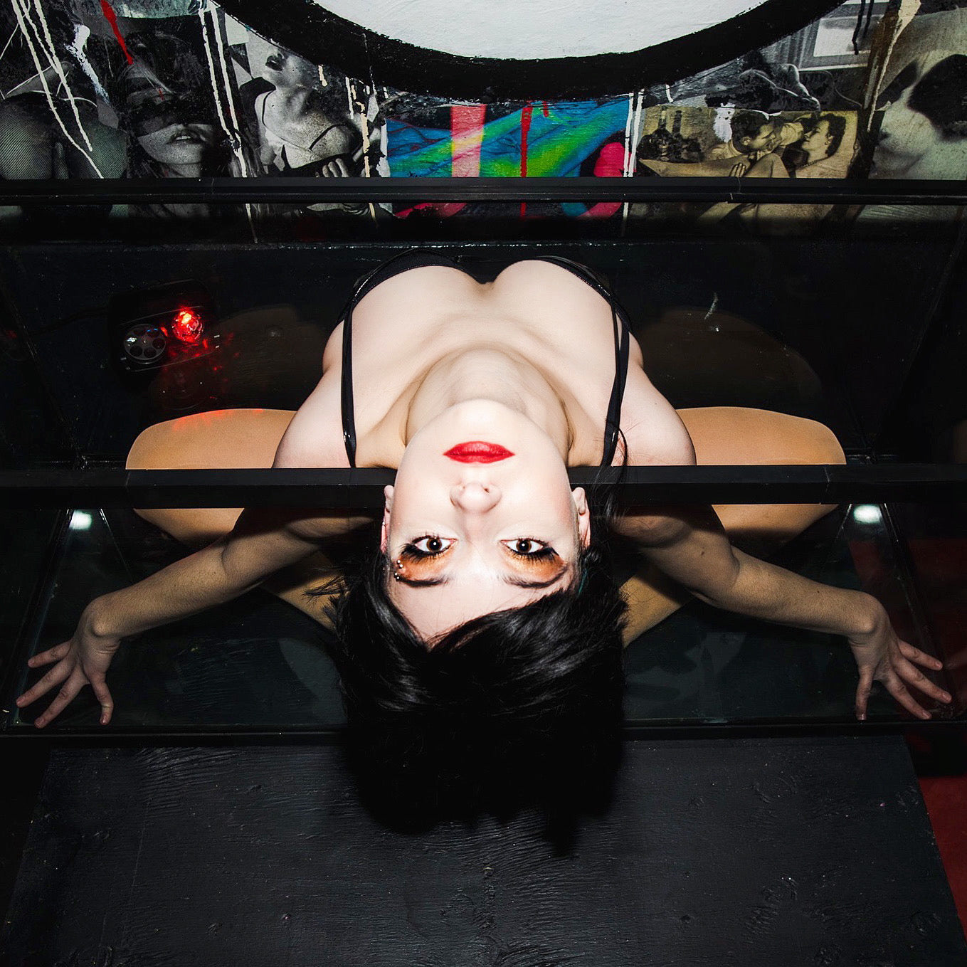 Contortionists
